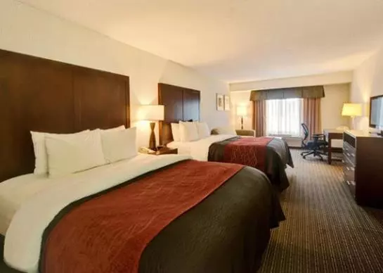ホテル Comfort Inn And Suites Portland Airport