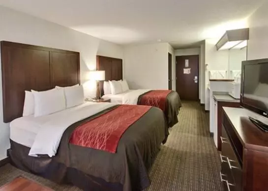 ホテル Comfort Inn And Suites Portland Airport