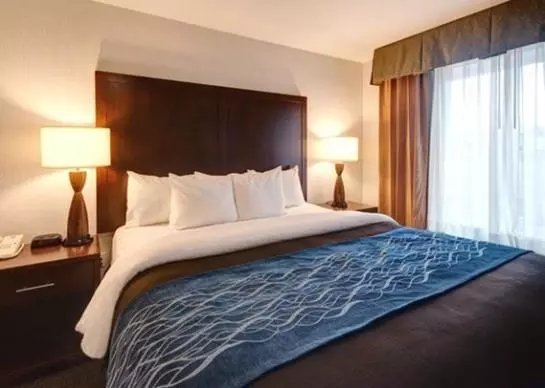 ホテル Comfort Inn And Suites Portland Airport