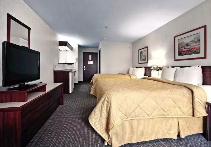 ホテル Comfort Inn And Suites Portland Airport