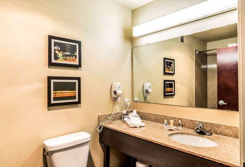 ホテル Comfort Suites South