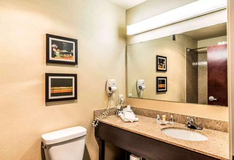 酒店 Comfort Suites South