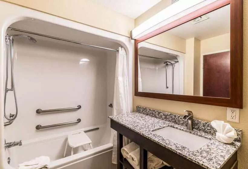 酒店 Comfort Suites South