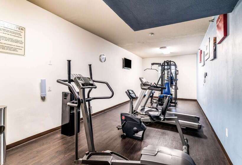 ホテル Comfort Suites South