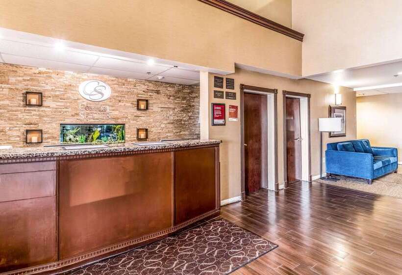 ホテル Comfort Suites South