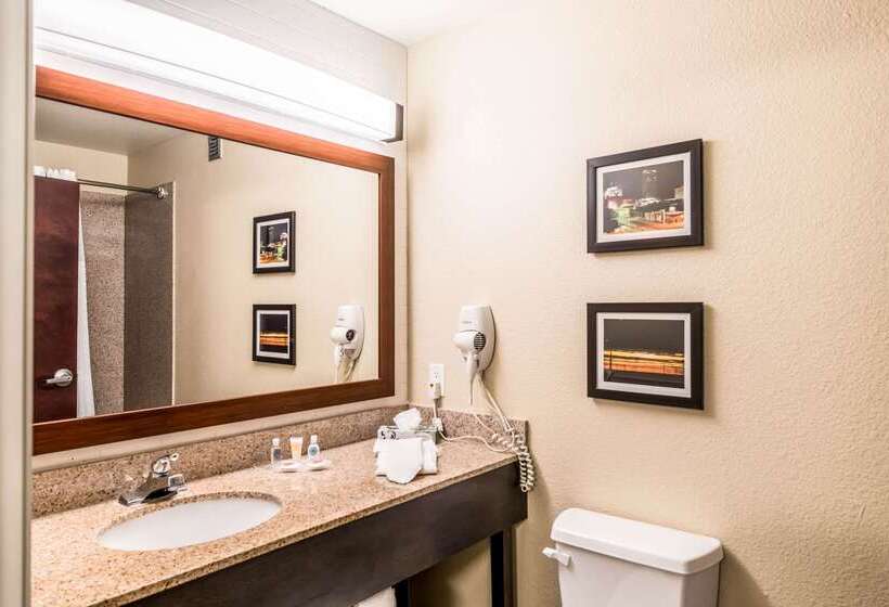 ホテル Comfort Suites South