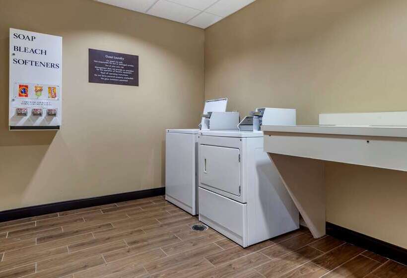 فندق Comfort Suites