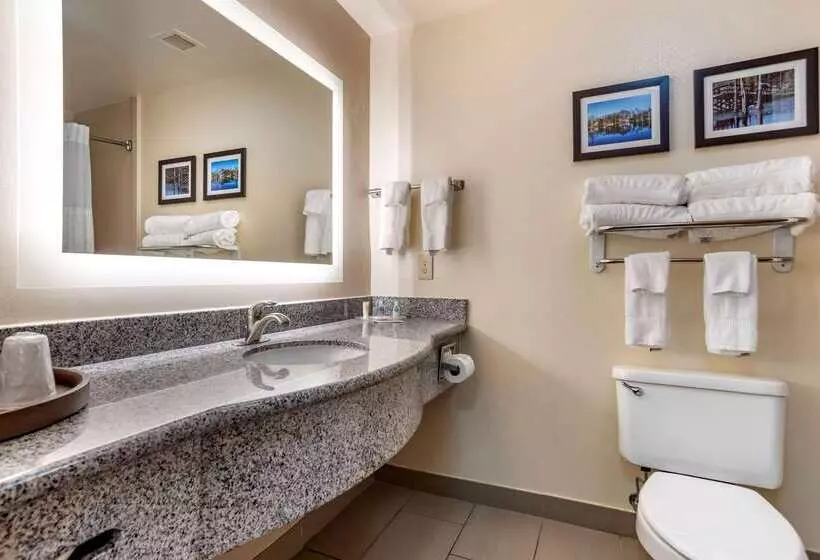 בית מלון כפרי Comfort Suites