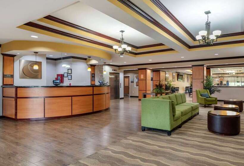 فندق Comfort Suites