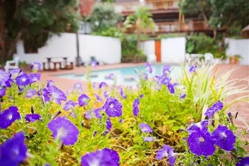 ホテル Crawfords Beach Lodge