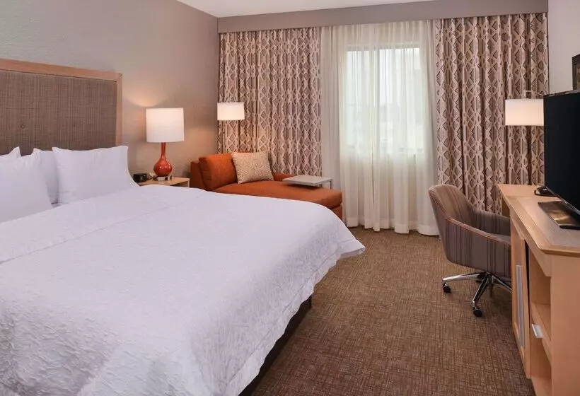 호텔 Hampton Inn & Suites Denverspeer Boulevard