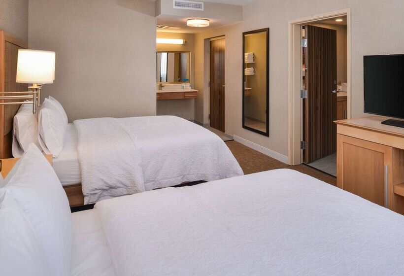 فندق Hampton Inn & Suites Denverspeer Boulevard