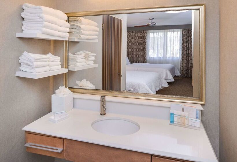 فندق Hampton Inn & Suites Denverspeer Boulevard