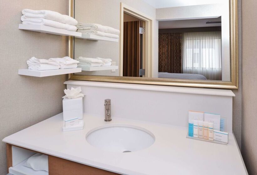 فندق Hampton Inn & Suites Denverspeer Boulevard