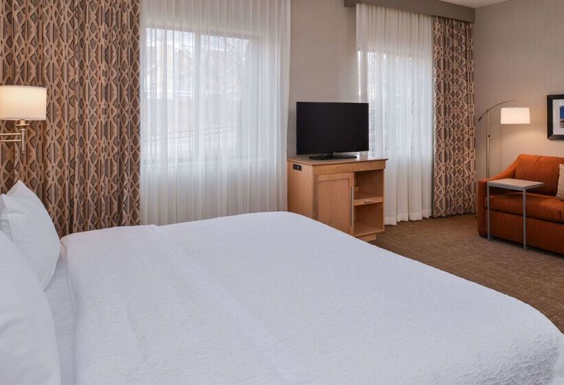 فندق Hampton Inn & Suites Denverspeer Boulevard