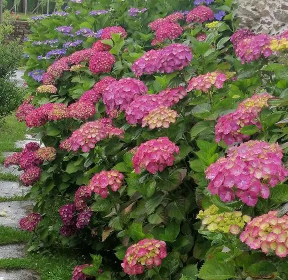 酒店 Lar Da Mota Boutique