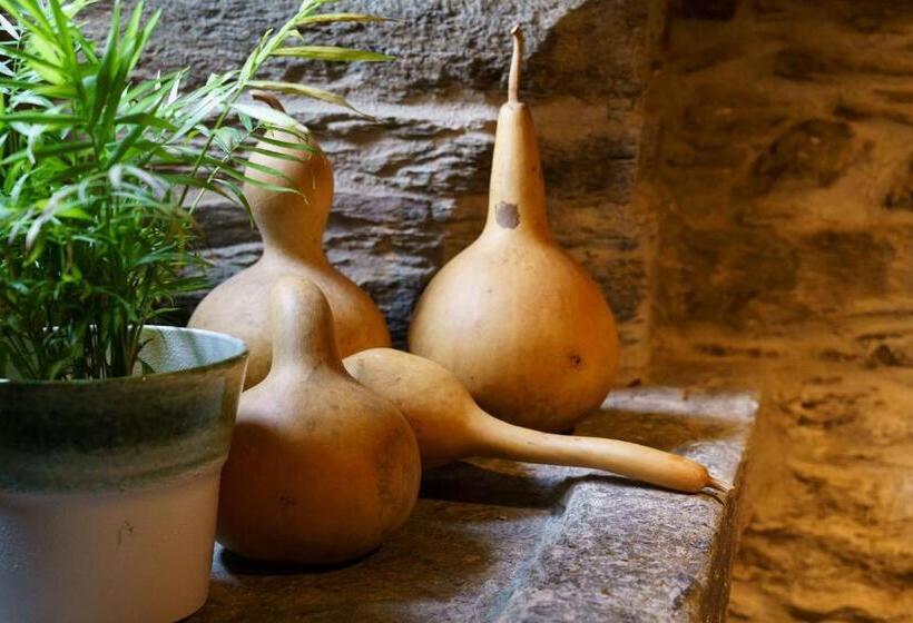 فندق Lar Da Mota Boutique