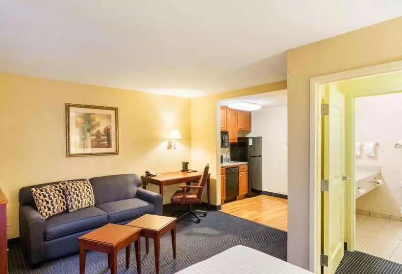 هتل Mainstay Suites Dover