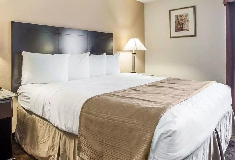 هتل Quality Inn & Suites Coliseum