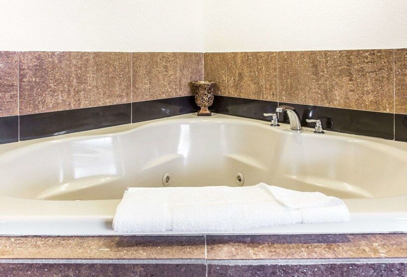 호텔 Quality Inn & Suites Coliseum