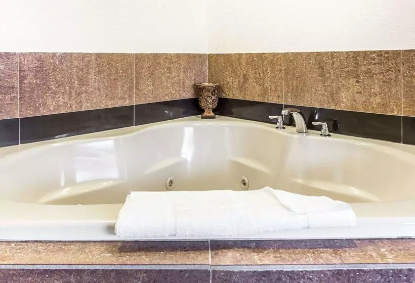 هتل Quality Inn & Suites Coliseum