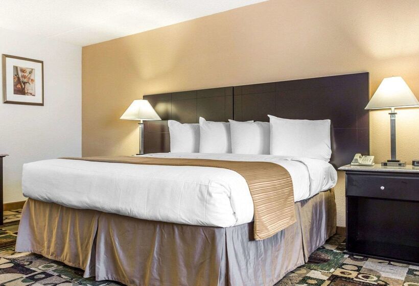 호텔 Quality Inn & Suites Coliseum