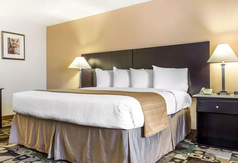 هتل Quality Inn & Suites Coliseum