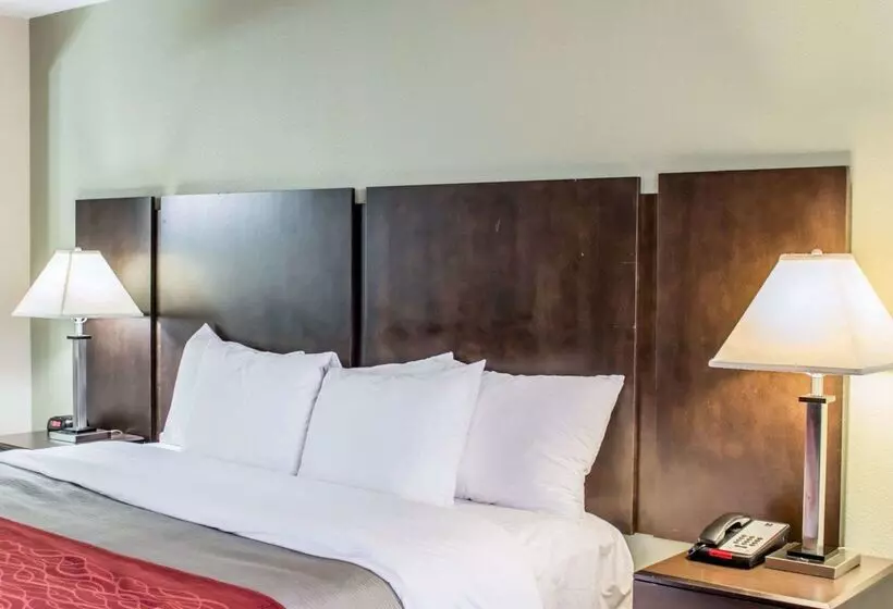 هتل Quality Inn Raleigh Downtown