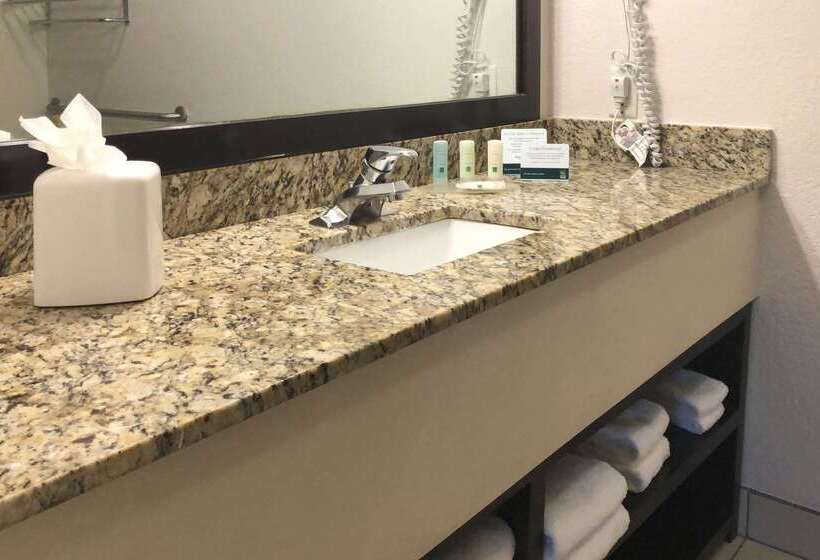 فندق Quality Inn & Suites Denver International Airport