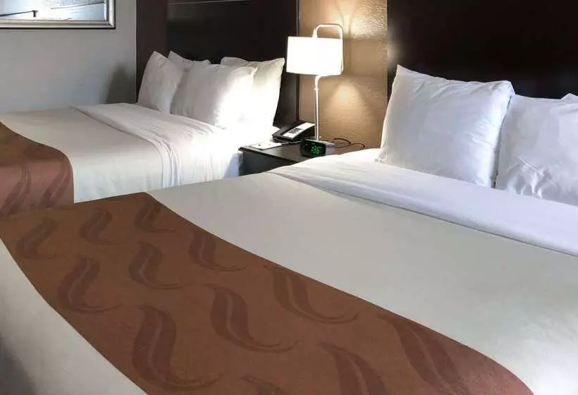 ホテル Quality Inn & Suites Denver International Airport