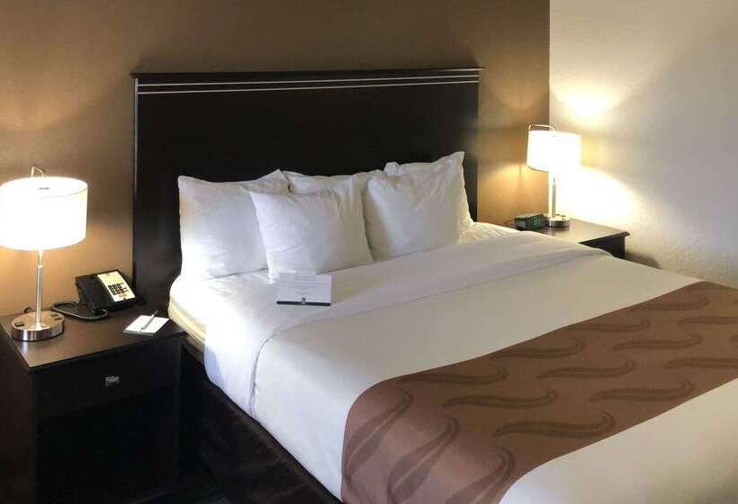 فندق Quality Inn & Suites Denver International Airport
