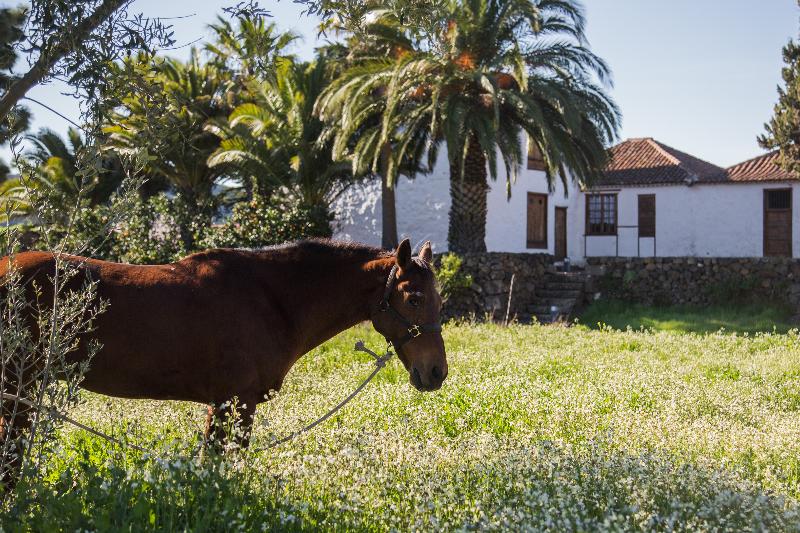 בית מלון כפרי La Casona Del Patio