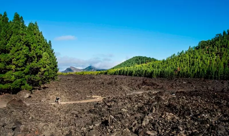 교외 호텔 La Casona Del Patio