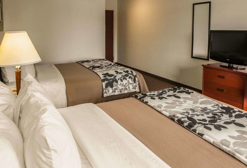 فندق Sleep Inn South Bend Airport