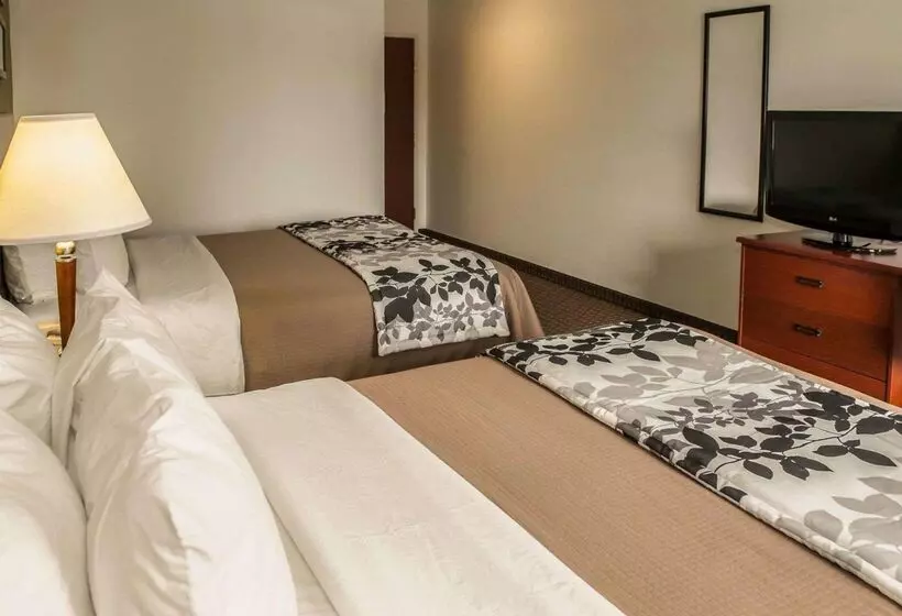 هتل Sleep Inn South Bend Airport