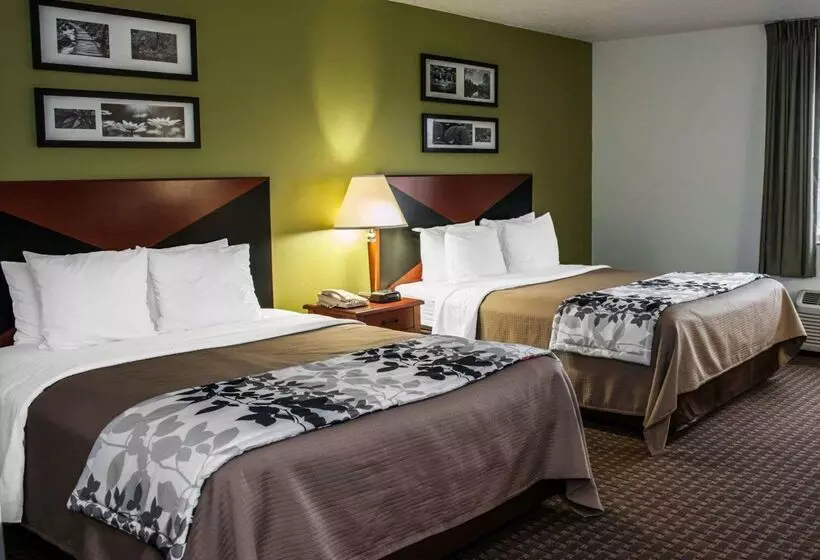هتل Sleep Inn South Bend Airport