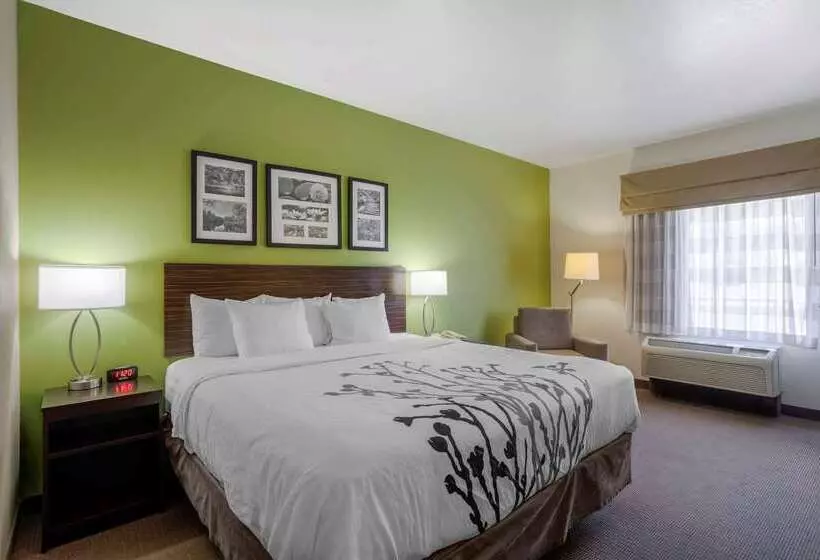 호텔 Sleep Inn & Suites