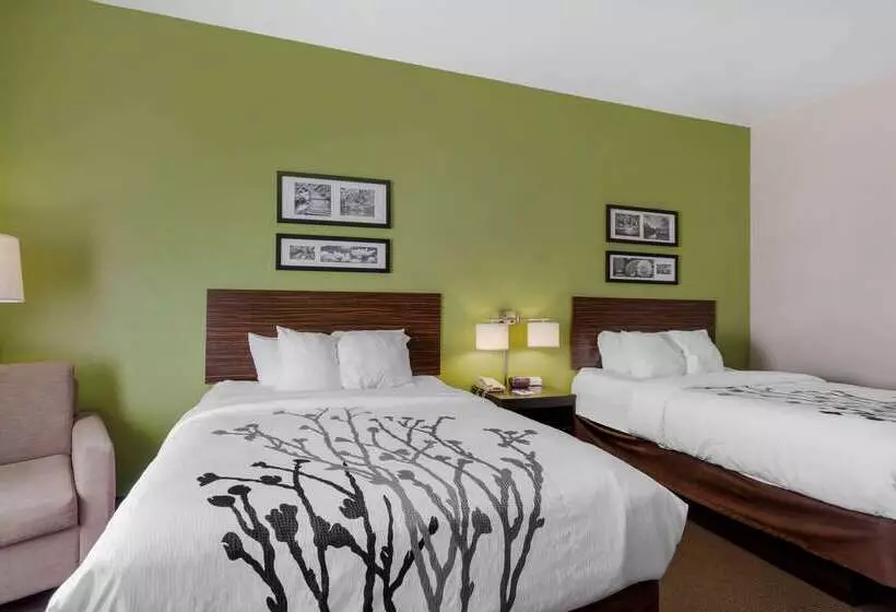 호텔 Sleep Inn & Suites