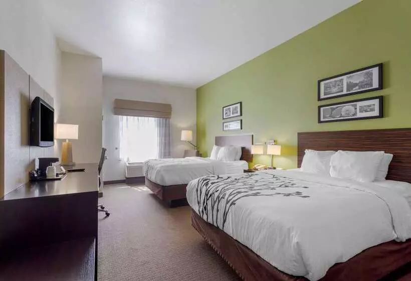 호텔 Sleep Inn & Suites