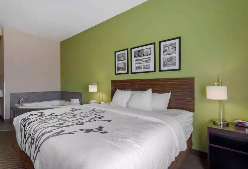 호텔 Sleep Inn & Suites