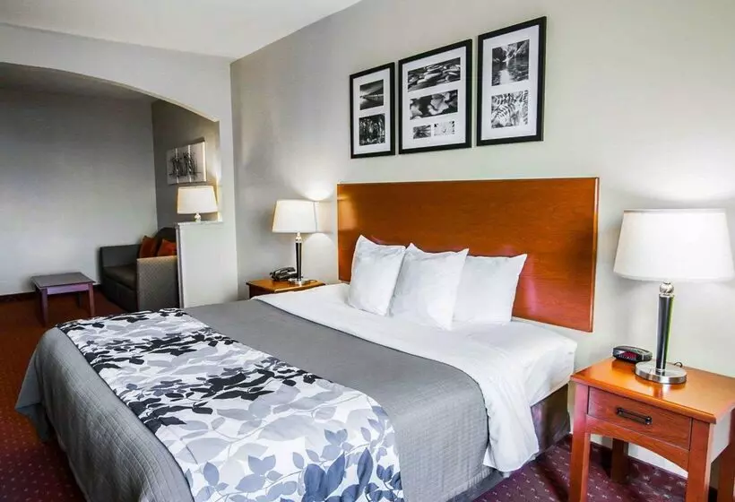 호텔 Sleep Inn & Suites New Braunfels