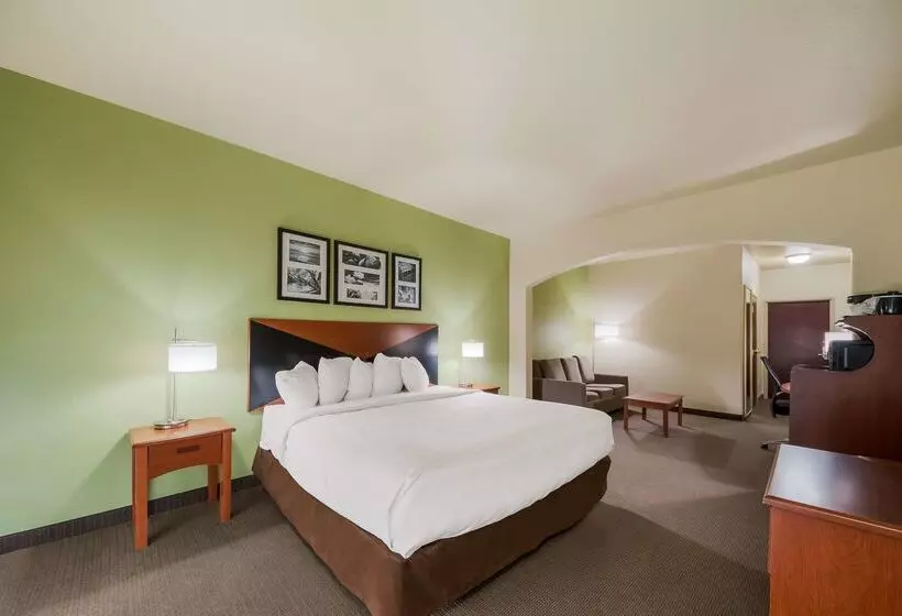 Surestay Plus Hotel By Best Western Near Seaworld San Antonio