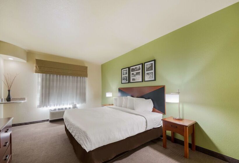 Surestay Plus Hotel By Best Western Near Seaworld San Antonio