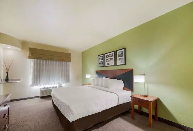 Surestay Plus Hotel By Best Western Near Seaworld San Antonio