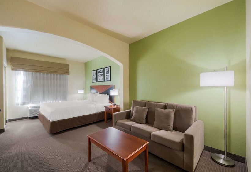 Surestay Plus Hotel By Best Western Near Seaworld San Antonio