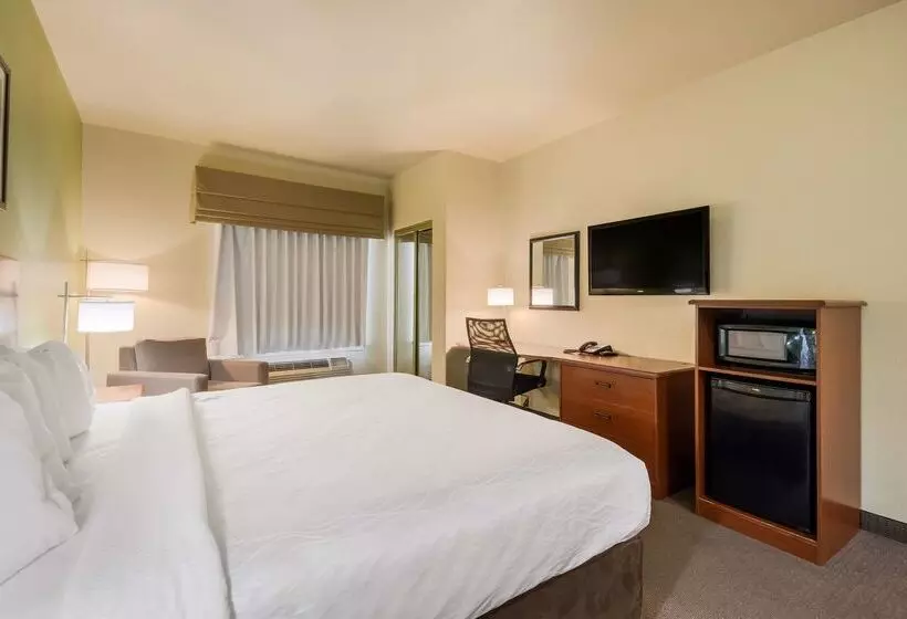 Surestay Plus Hotel By Best Western Near Seaworld San Antonio