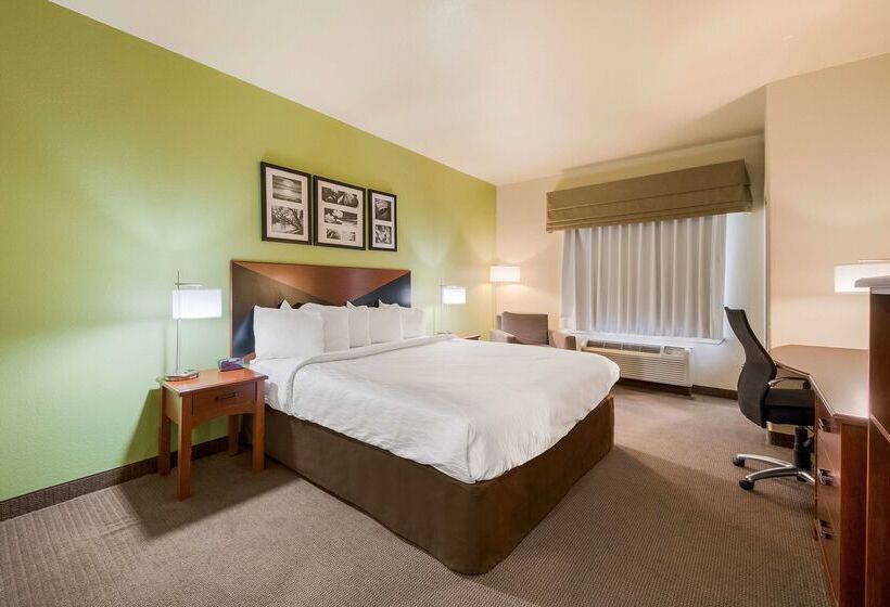 Surestay Plus Hotel By Best Western Near Seaworld San Antonio