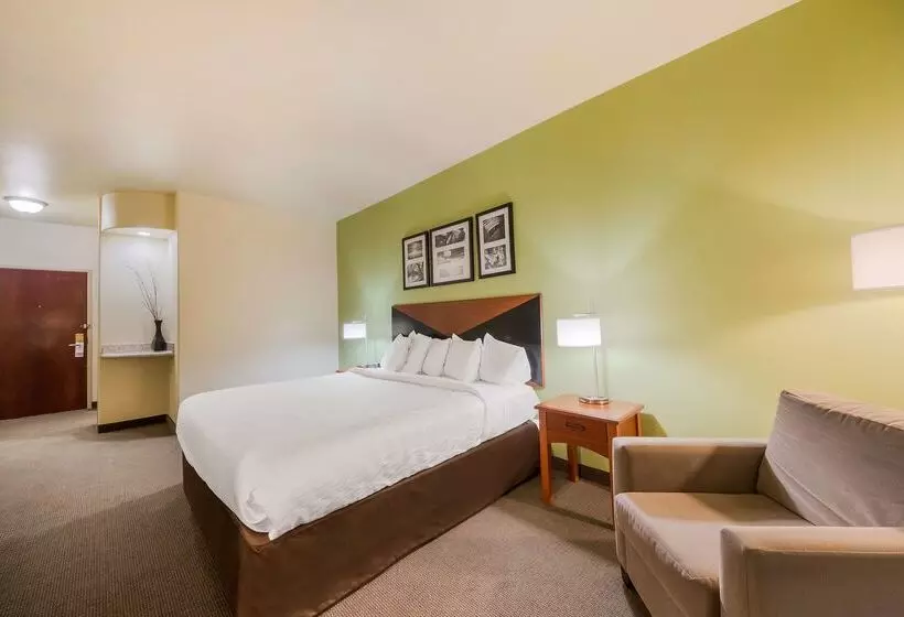 Surestay Plus Hotel By Best Western Near Seaworld San Antonio