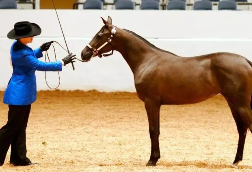 בית מלון כפרי Talking Stick Resort