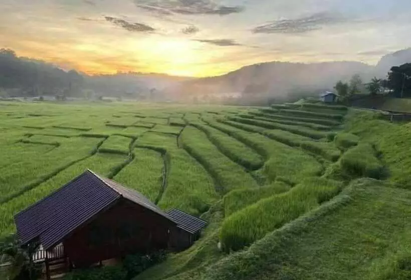 酒店 Touch Star Resort Doi Inthanon